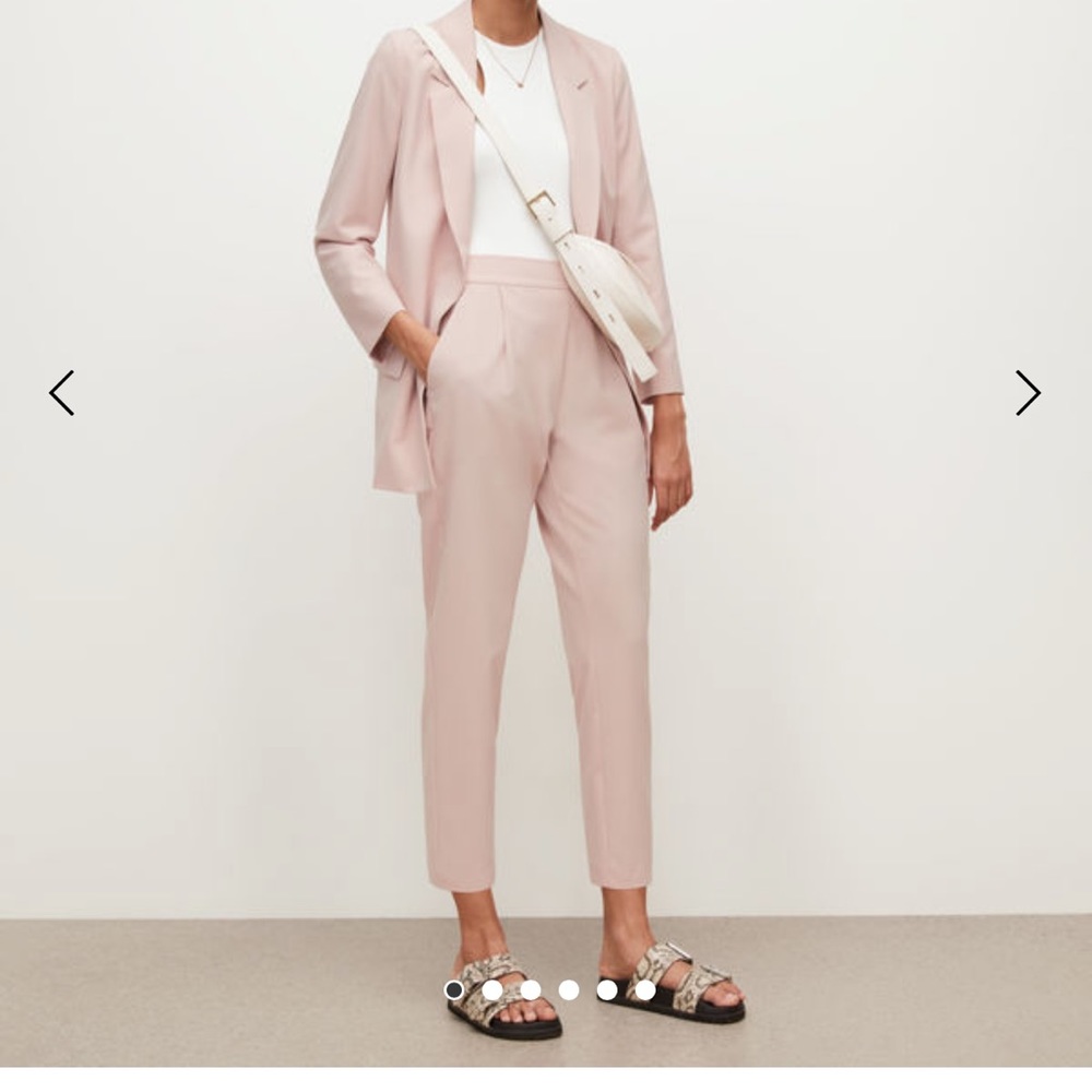 All Saints Aleida Cropped Pleated Trouser Pants